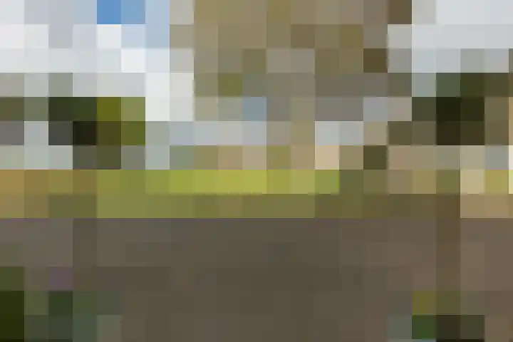 Buizerdstraat 36 Bleiswijk thumbnail 8
