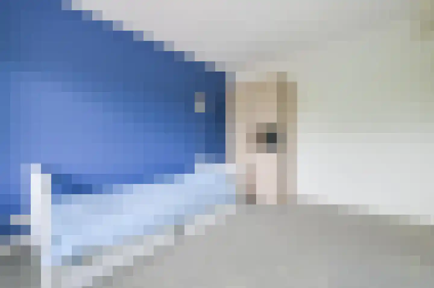 Buizerdstraat 36 Putten thumbnail 31