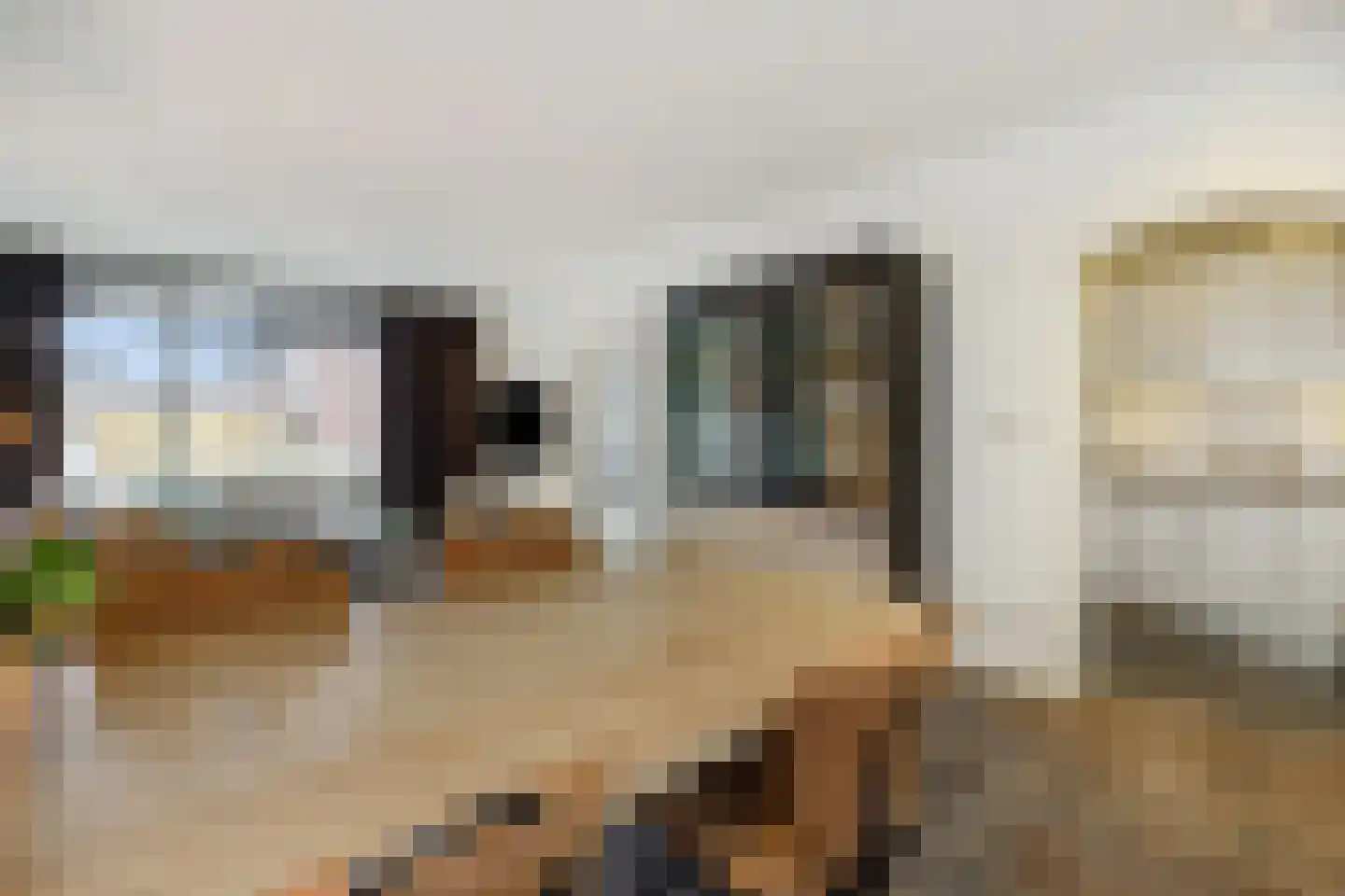 Buizerdstraat 4 Helmond thumbnail 10