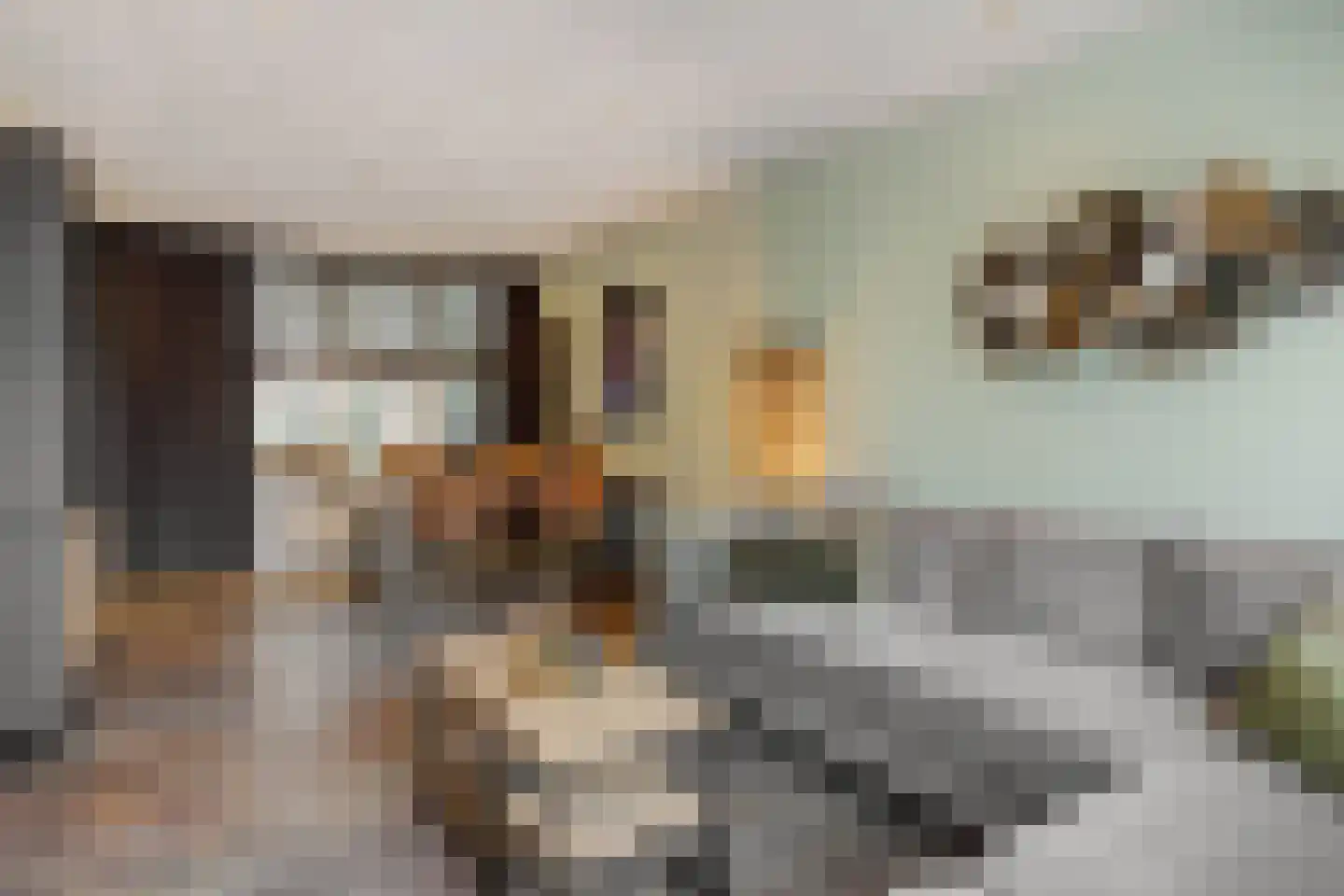 Buizerdstraat 4 Helmond thumbnail 12