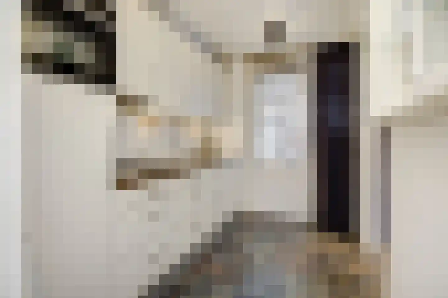 Buizerdstraat 4 Helmond thumbnail 16