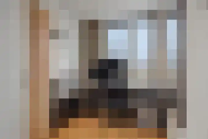 Buizerdstraat 4 Helmond thumbnail 23