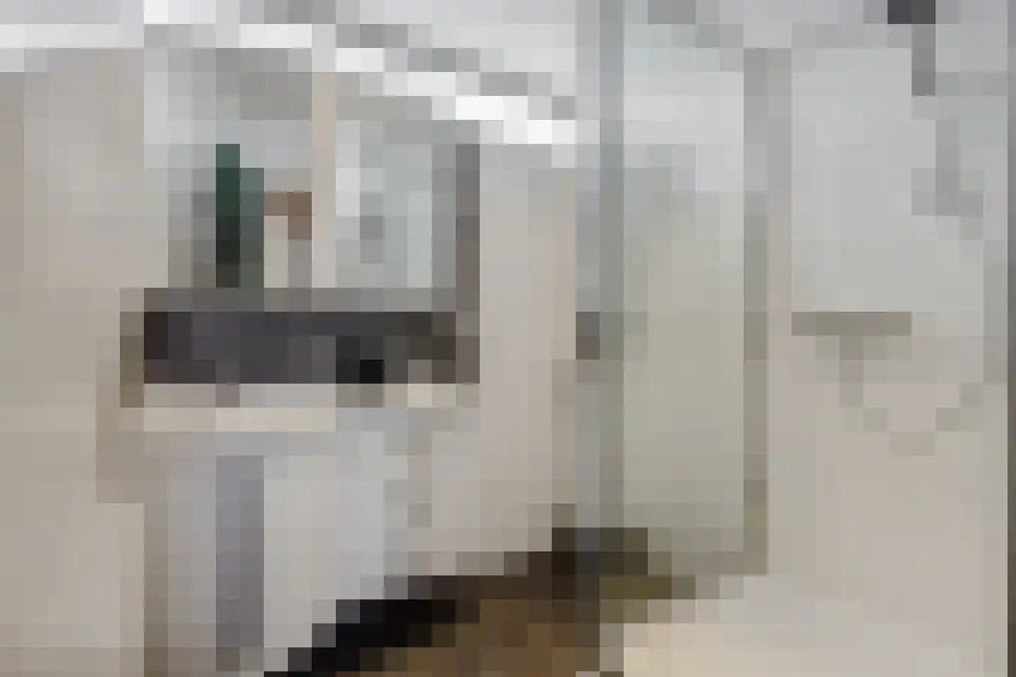 Buizerdstraat 4 Helmond thumbnail 27