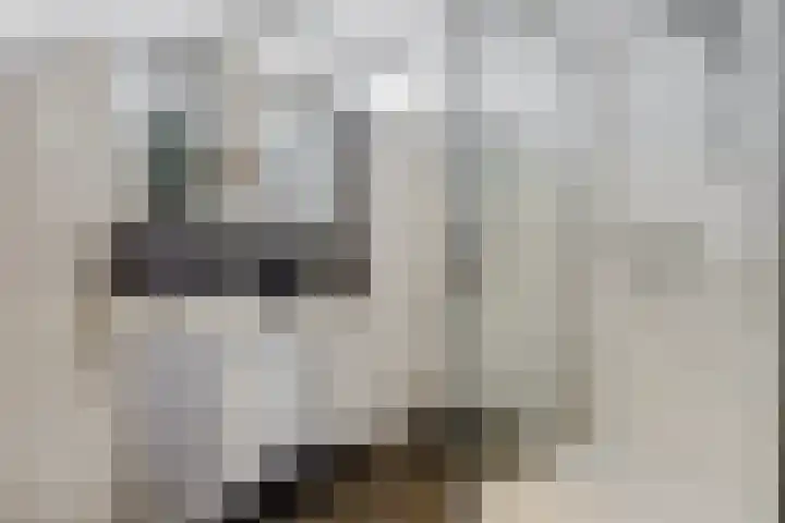 Buizerdstraat 4 Helmond thumbnail 27