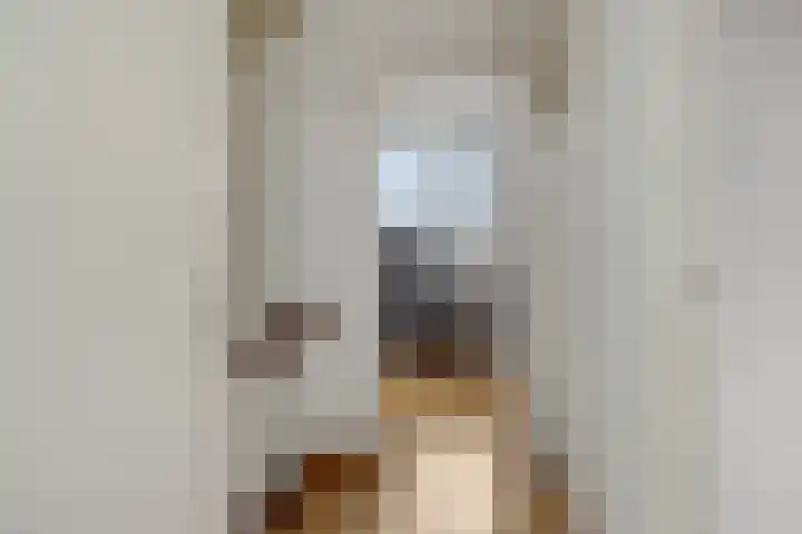 Buizerdstraat 4 Helmond thumbnail 29