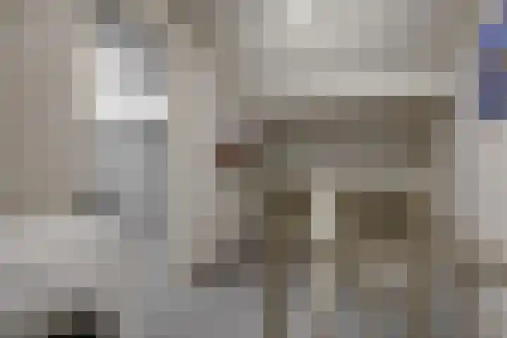 Buizerdstraat 4 Helmond thumbnail 31