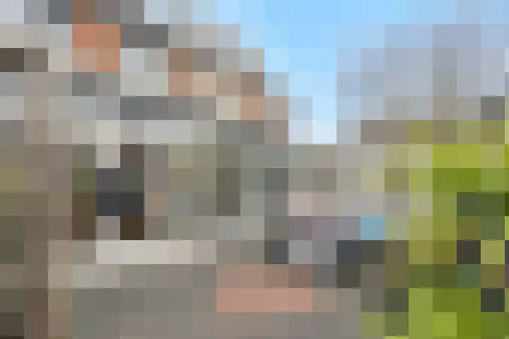 Buizerdstraat 4 Helmond thumbnail 36