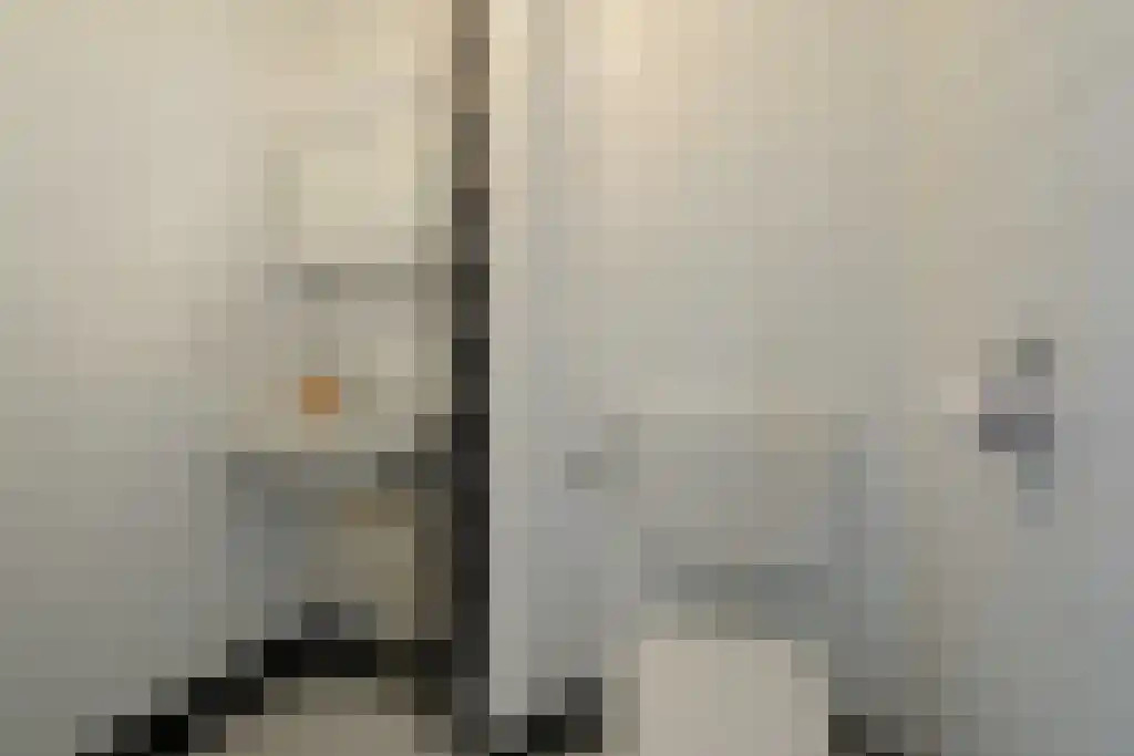 Buizerdstraat 44 Assen thumbnail 14