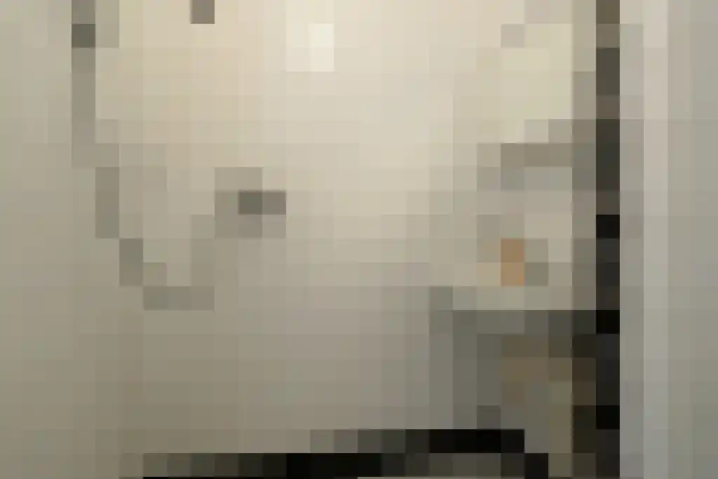Buizerdstraat 44 Assen thumbnail 15