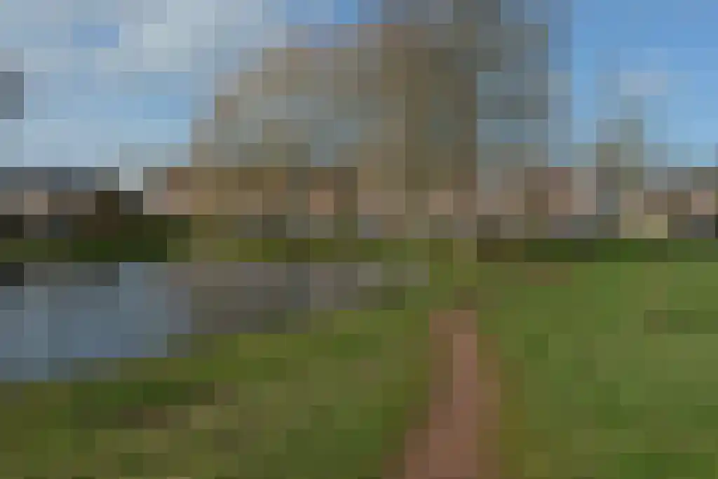 Buizerdstraat 44 Assen thumbnail 20