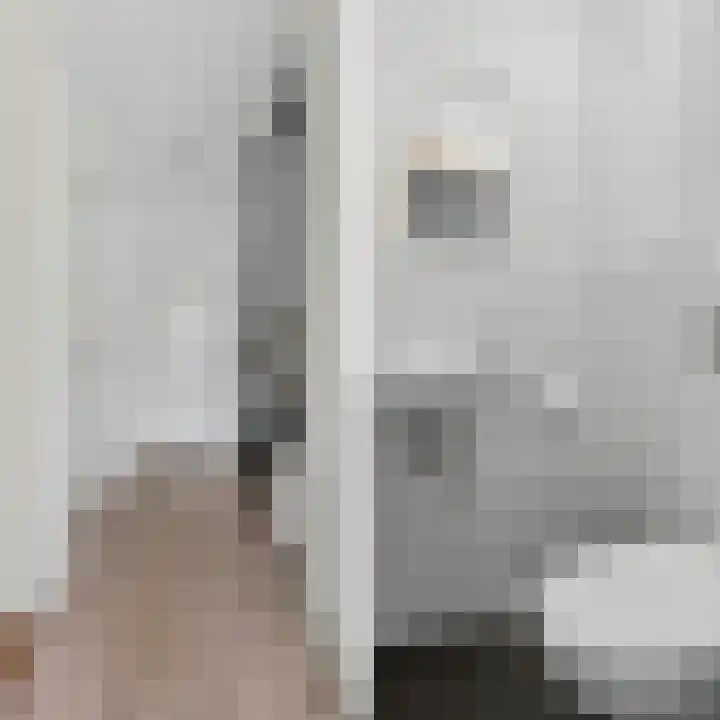 Buizerdstraat 44 Brummen thumbnail 18