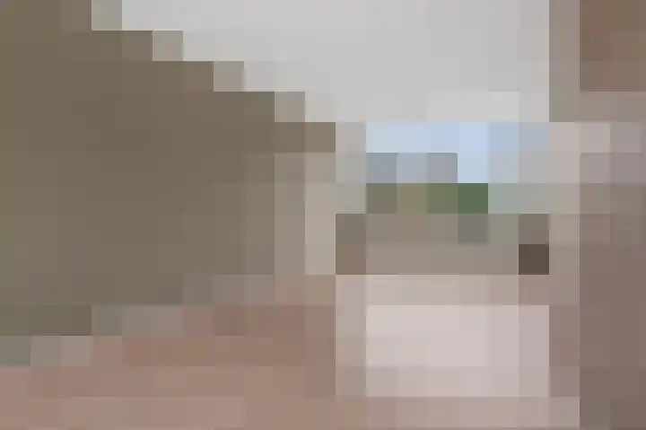 Buizerdstraat 44 Brummen thumbnail 6