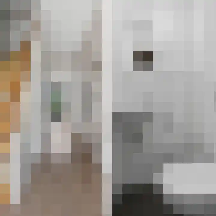 Buizerdstraat 44 Brummen thumbnail 7