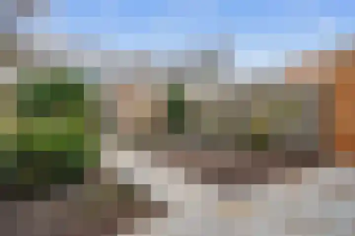 Buizerdstraat 44 Brummen thumbnail 8
