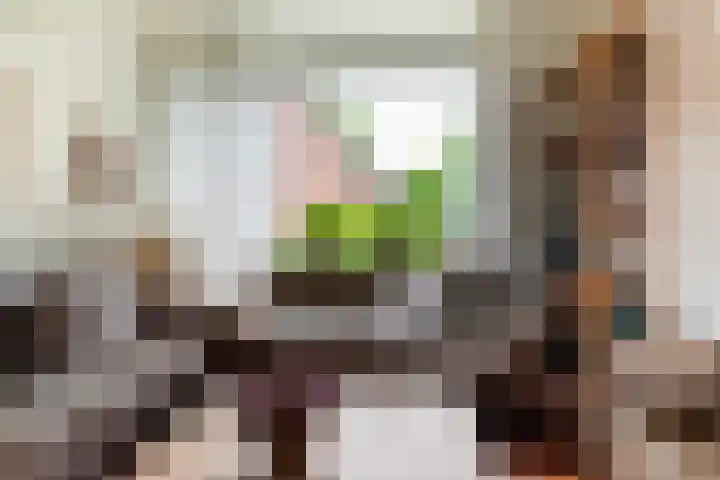 Buizerdstraat 44 Epe thumbnail 6