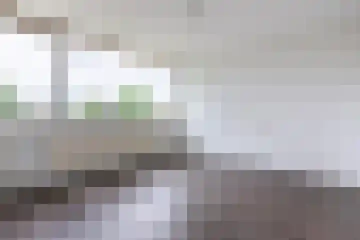 Buizerdstraat 59 Brummen thumbnail 13