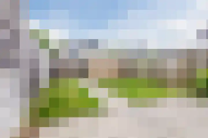 Buizerdstraat 59 Brummen thumbnail 34