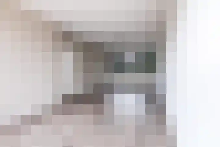 Buizerdstraat 59 Brummen thumbnail 8