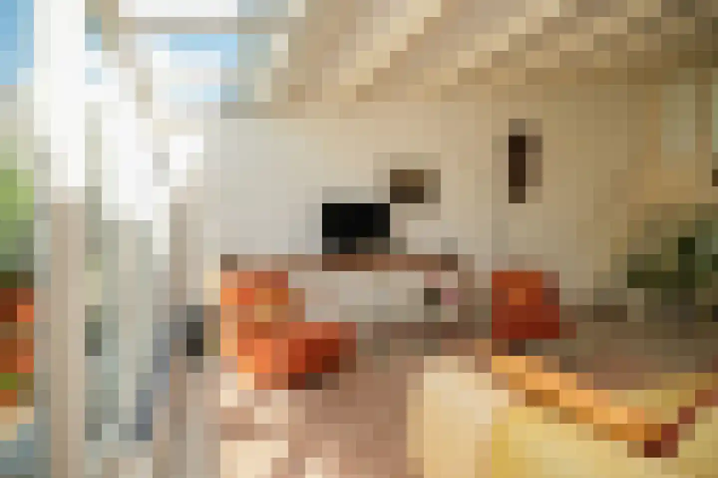 Buizerdstraat 6 Leerdam thumbnail 9