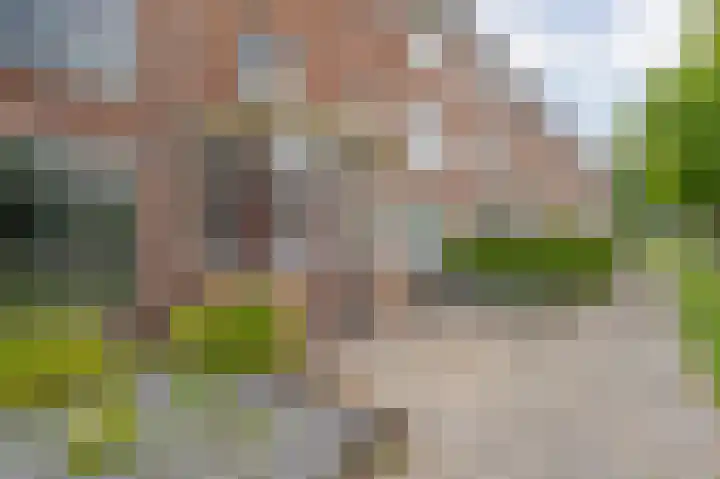 Buizerdstraat 68 Assen thumbnail 10