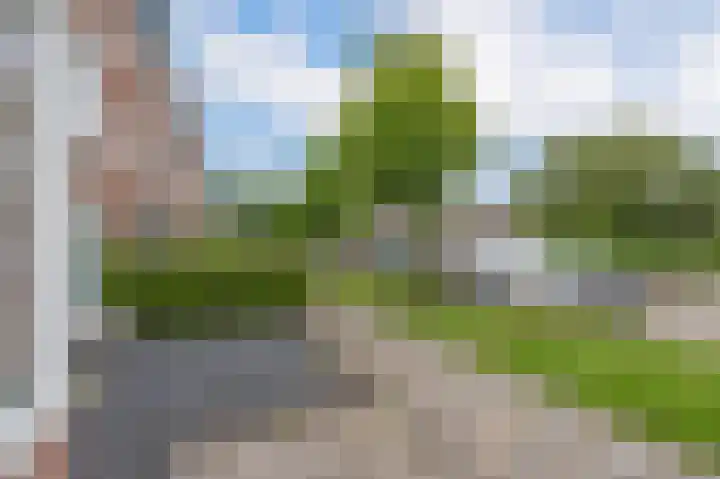 Buizerdstraat 68 Assen thumbnail 12