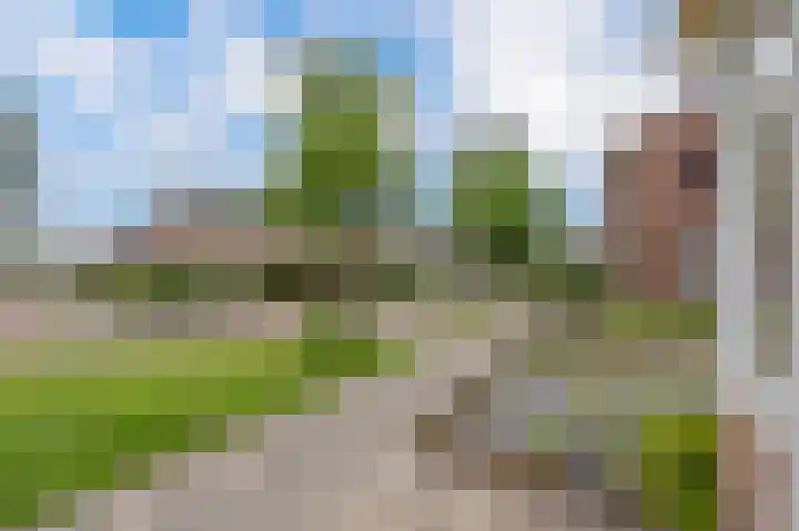 Buizerdstraat 68 Assen thumbnail 13