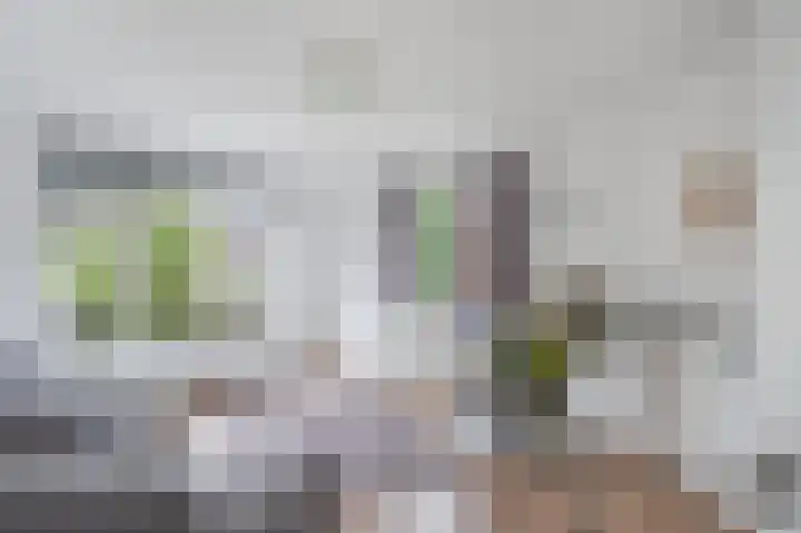 Buizerdstraat 68 Assen thumbnail 18