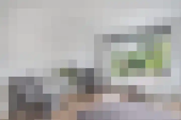 Buizerdstraat 68 Assen thumbnail 19