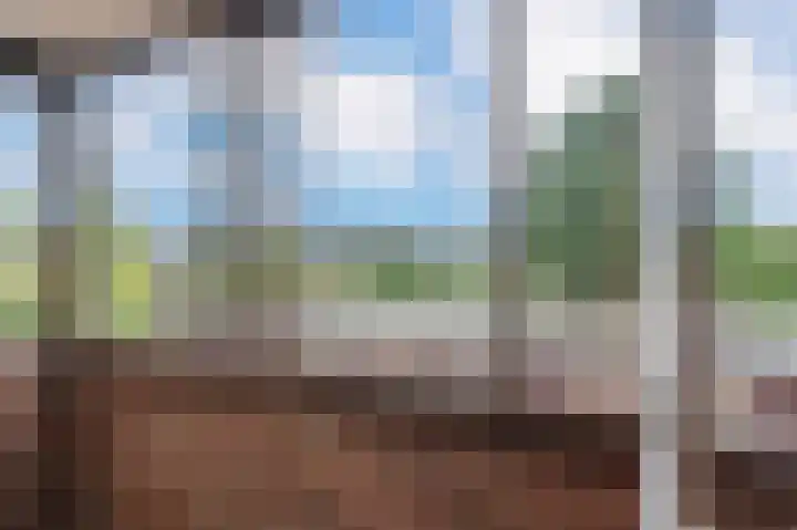 Buizerdstraat 68 Assen thumbnail 26
