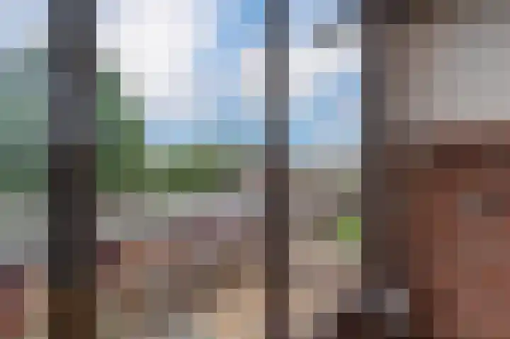 Buizerdstraat 68 Assen thumbnail 27