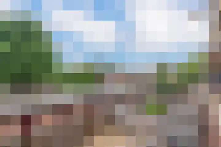 Buizerdstraat 68 Assen thumbnail 28