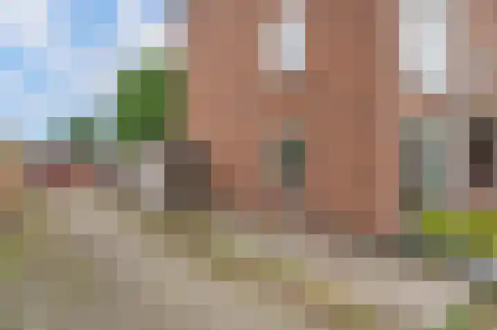 Buizerdstraat 68 Assen thumbnail 33