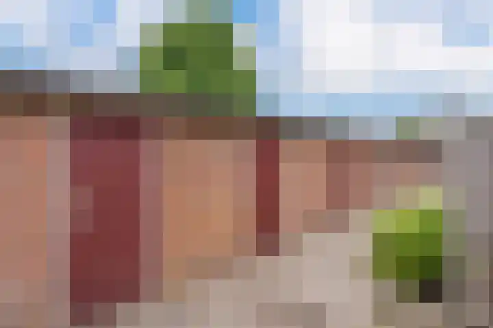 Buizerdstraat 68 Assen thumbnail 34
