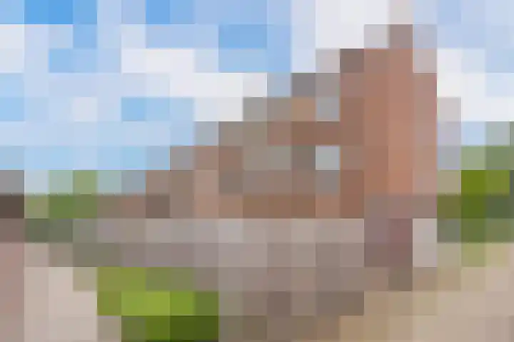 Buizerdstraat 68 Assen thumbnail 36
