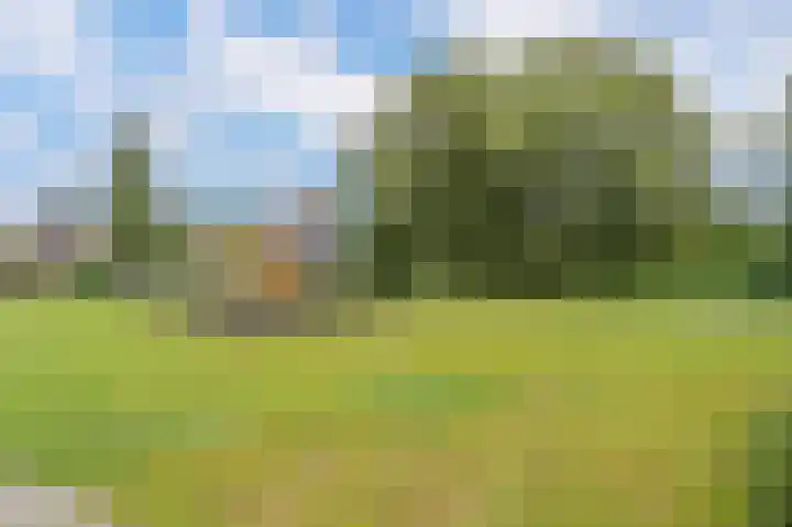 Buizerdstraat 68 Assen thumbnail 38