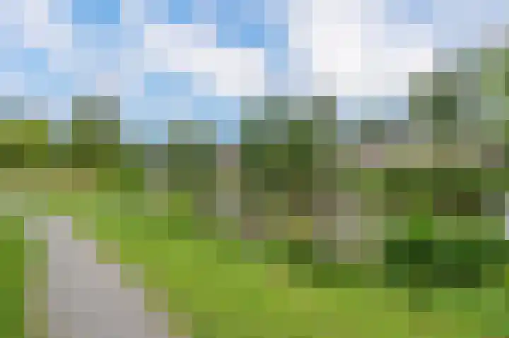 Buizerdstraat 68 Assen thumbnail 39