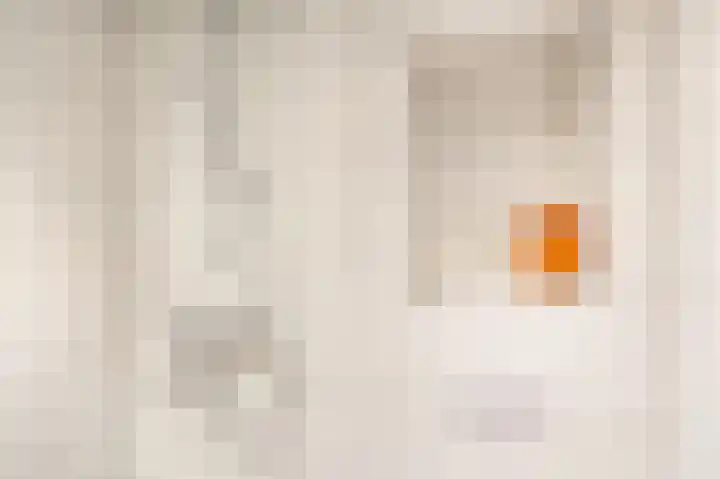 Buizerdstraat 68 Assen thumbnail 4
