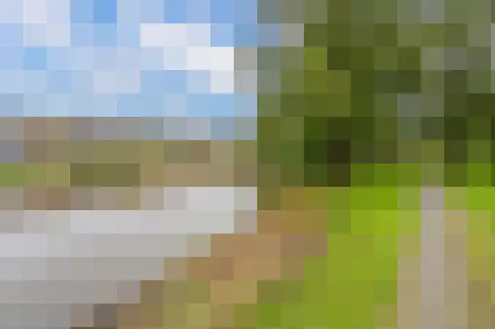 Buizerdstraat 68 Assen thumbnail 40