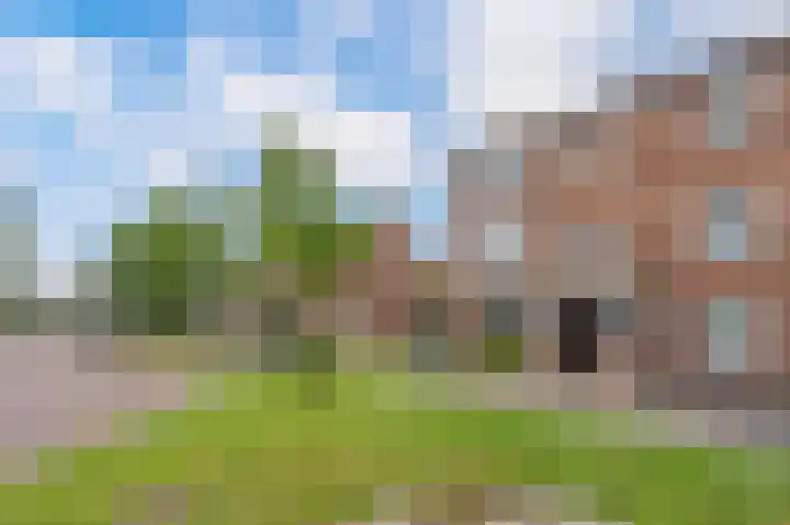 Buizerdstraat 68 Assen thumbnail 9