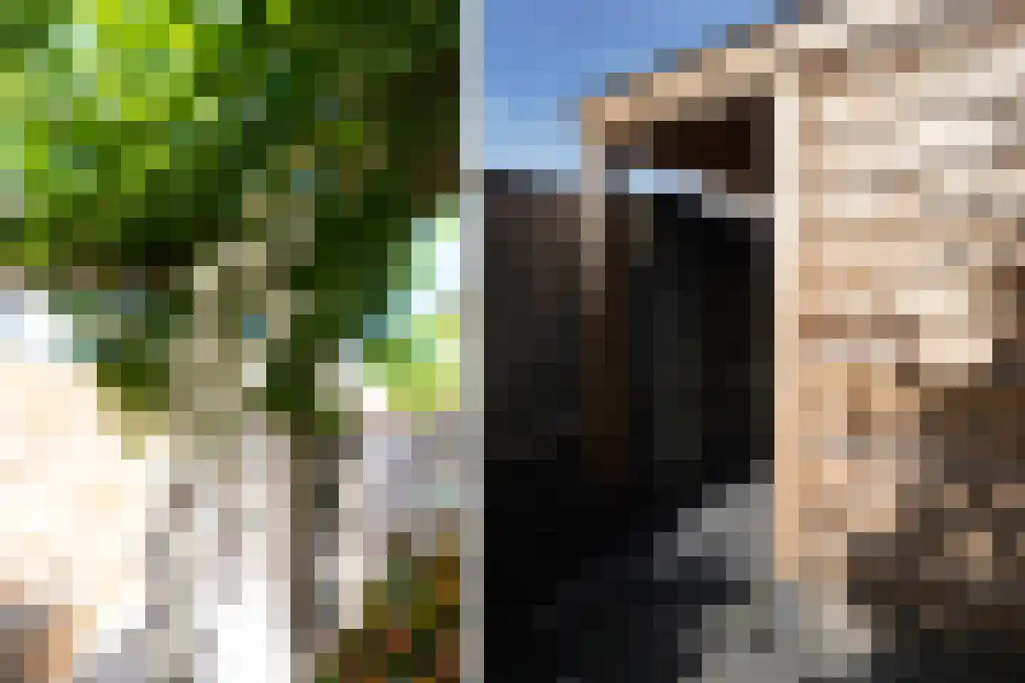 Buizerdstraat 7 Putten thumbnail 19