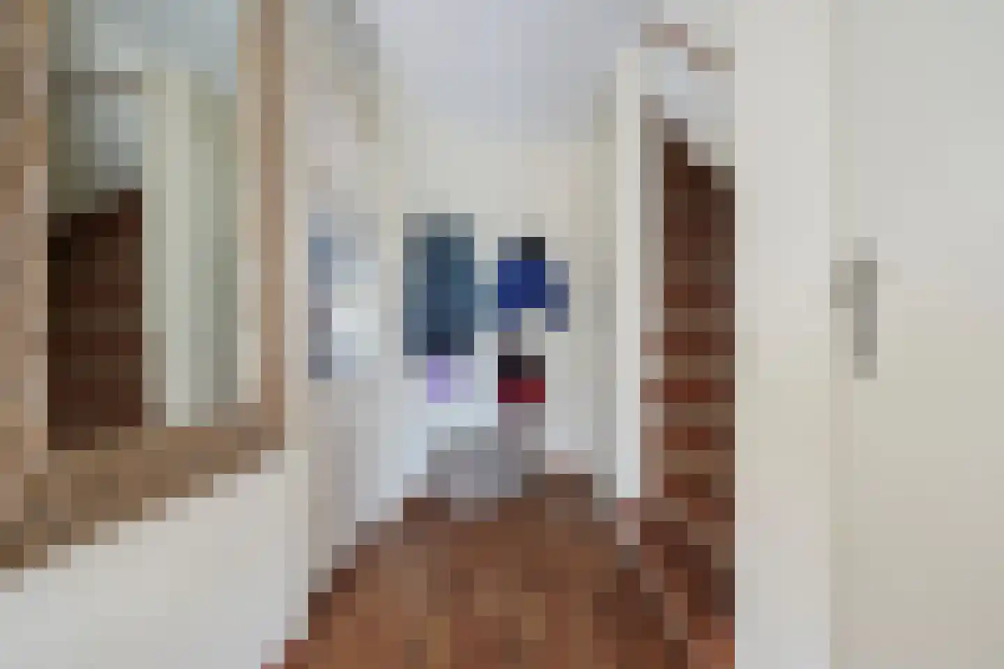 Buizerdstraat 7 Putten thumbnail 25