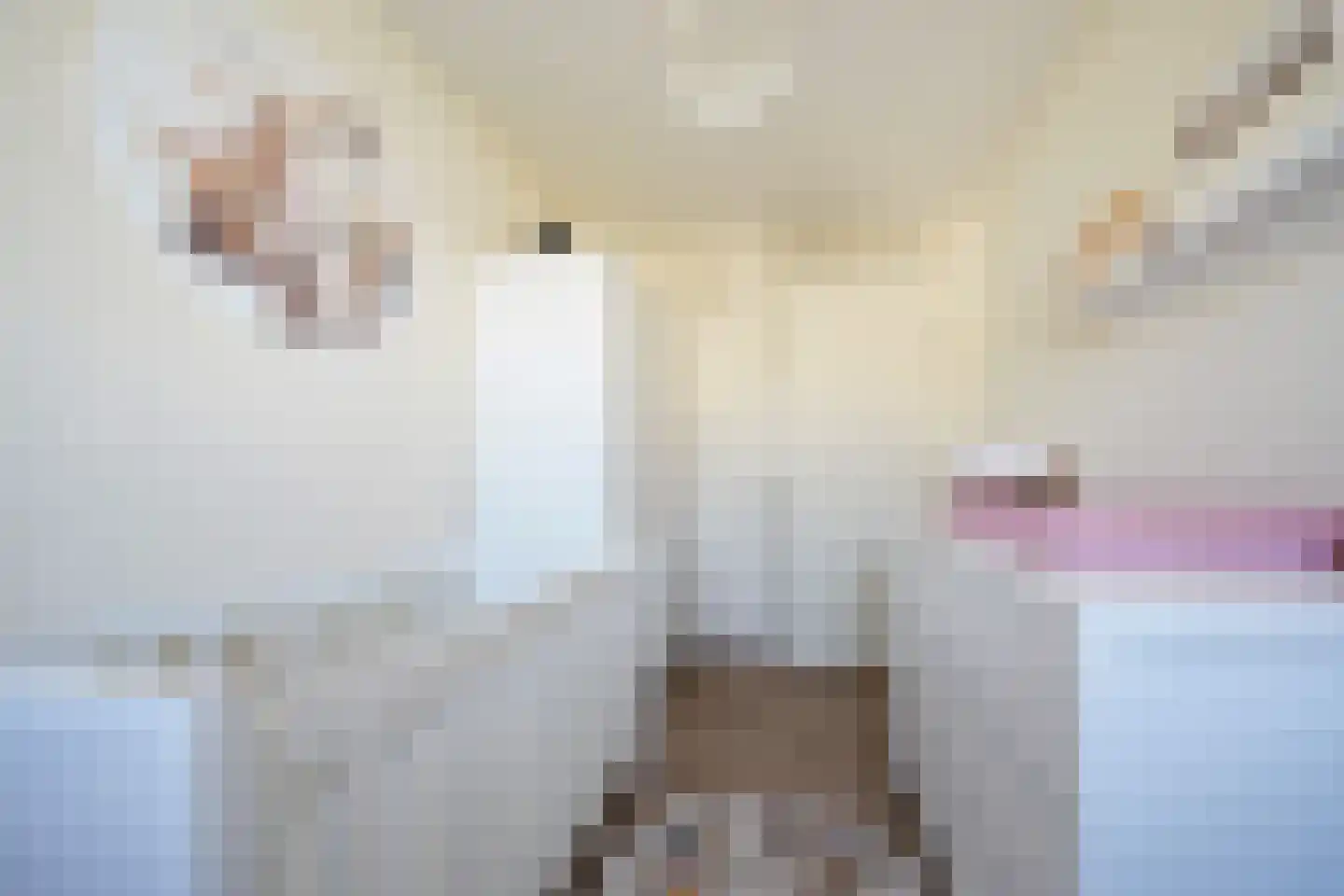 Buizerdstraat 7 Putten thumbnail 33