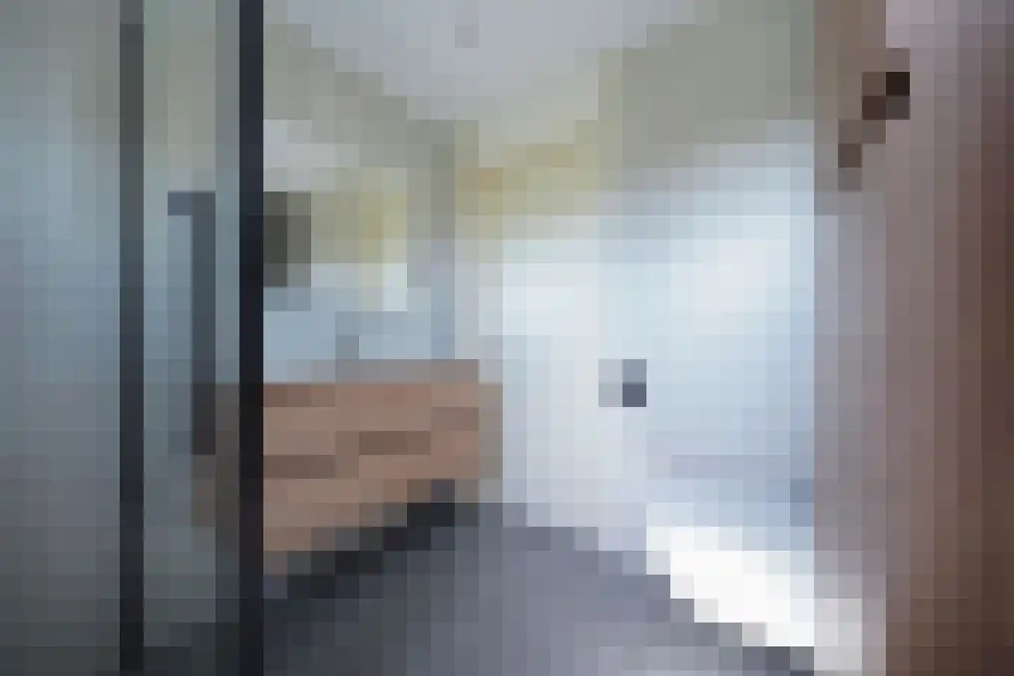 Buizerdstraat 7 Putten thumbnail 36