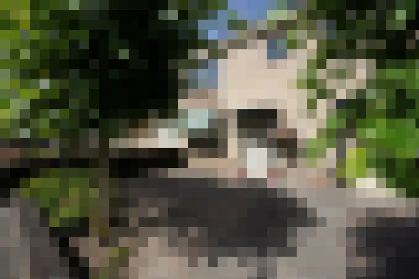 Buizerdstraat 7 Putten thumbnail 4