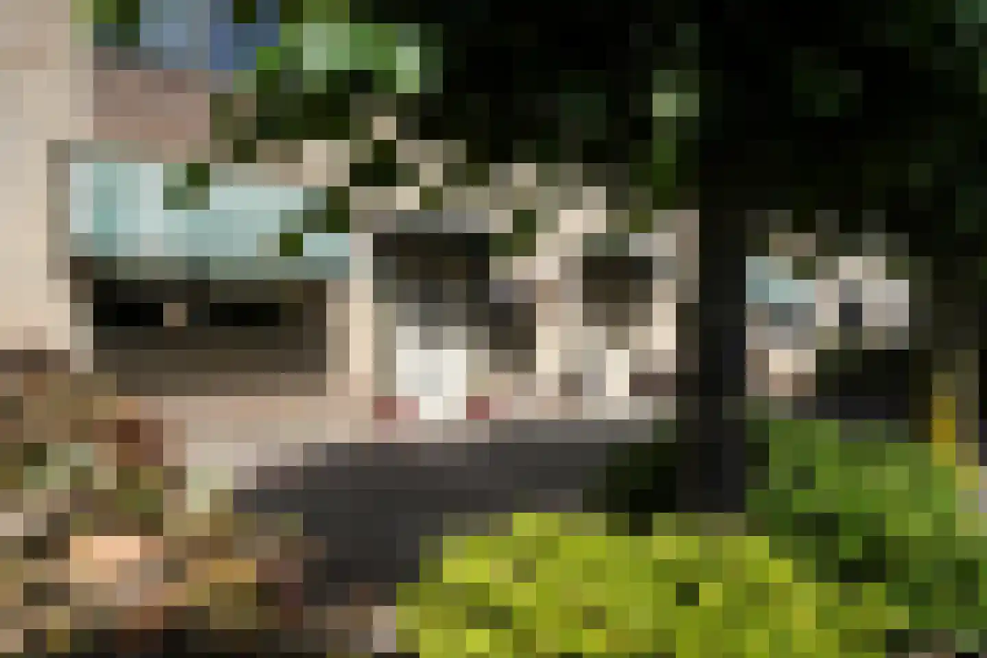 Buizerdstraat 7 Putten thumbnail 50