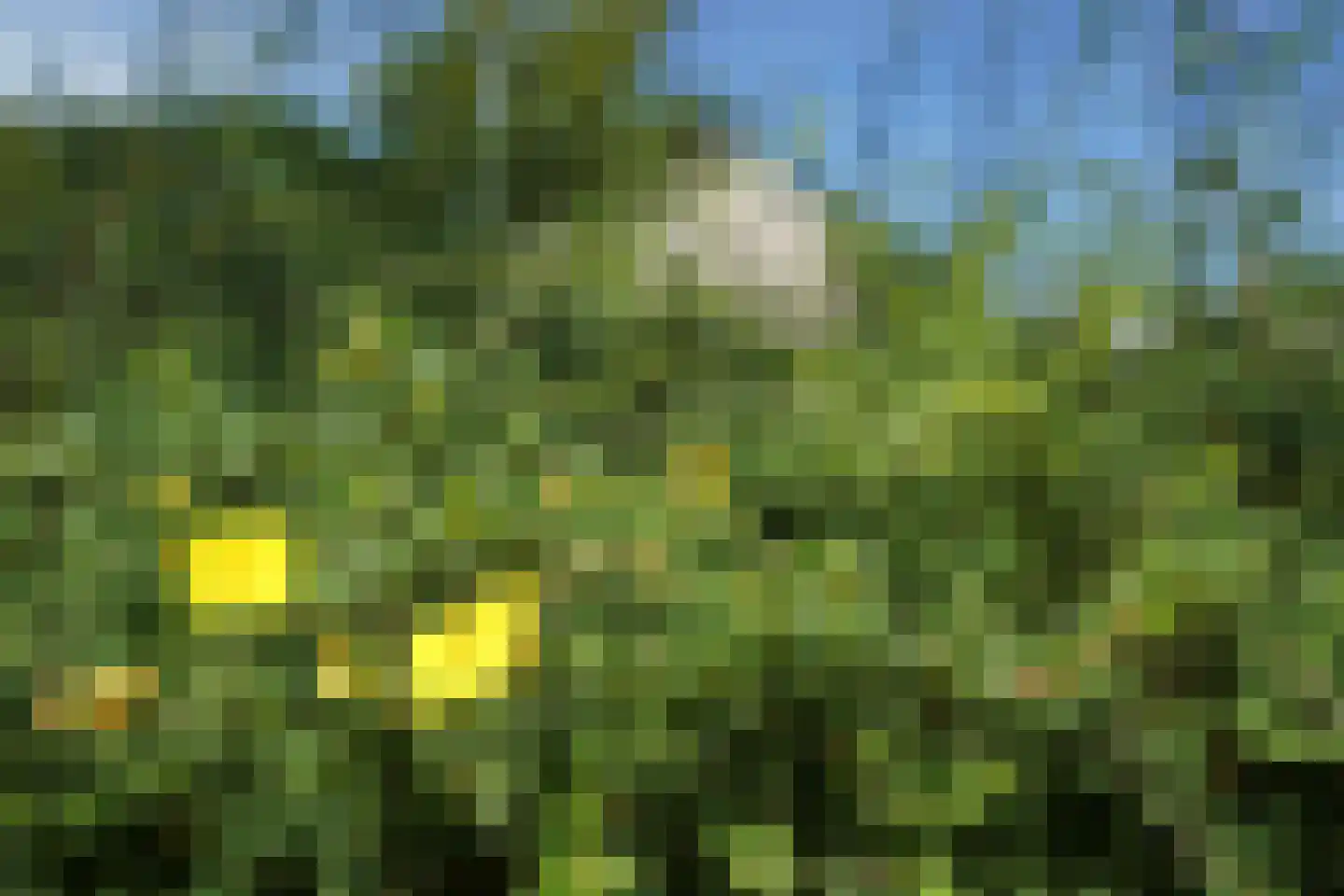 Buizerdstraat 7 Putten thumbnail 54
