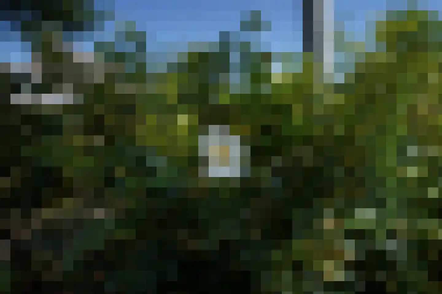Buizerdstraat 7 Putten thumbnail 57