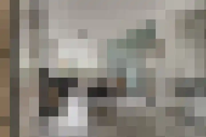 Buizerdstraat 73 Brummen thumbnail 14