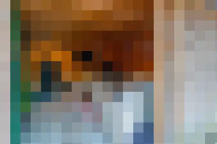 Buizerdstraat 73 Brummen thumbnail 22