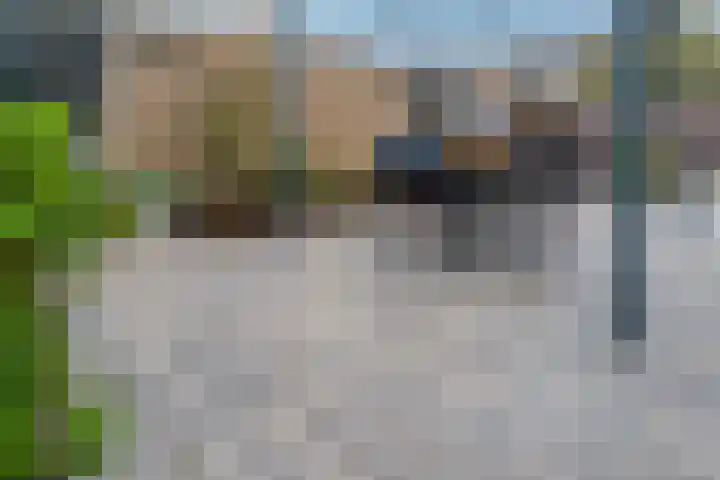 Buizerdstraat 73 Brummen thumbnail 23